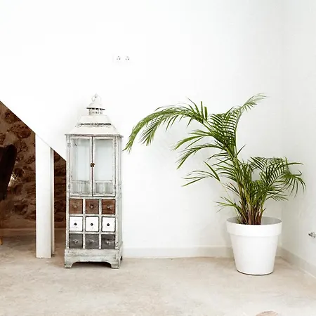 Appartement Apt. Con Piscina Interior En La Playa Alguer L'Ametlla de Mar